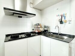 Blk 1A The Pinnacle@Duxton (Bukit Merah), HDB 4 Rooms #402508971